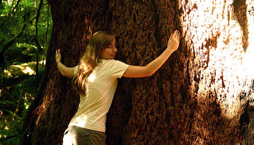 Silvoterapia. Abbraccia un albero, per ritrovare il benessere Silvoterapia. Abbraccia un albero, per ritrovare il benessere